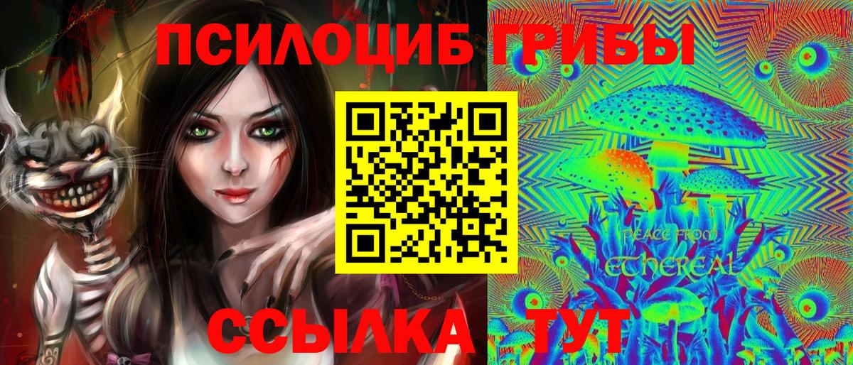 Псилоцибиновые грибы прущие грибы Октябрьский